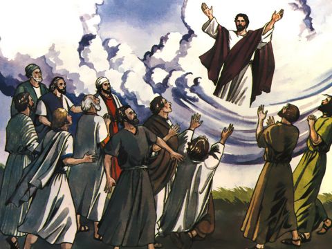 ‘For many days He was seen by those who had travelled with Him from Galilee to Jerusalem. They are now His witnesses to our people.’ – Slide 13