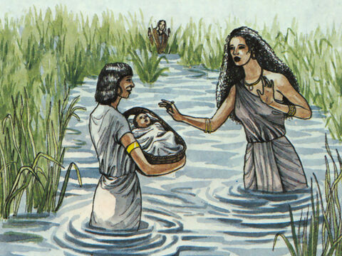 ‘When he was placed outside, Pharaoh’s daughter took him and brought him up as her own son.’ – Slide 3