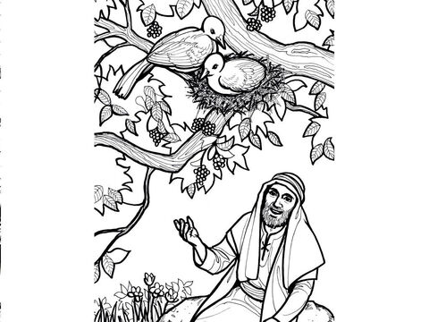 Jesus says, ‘Foxes have dens and birds have nests, but the Son of Man has no place to lay His head.’ Luke 9:58 – Slide 4