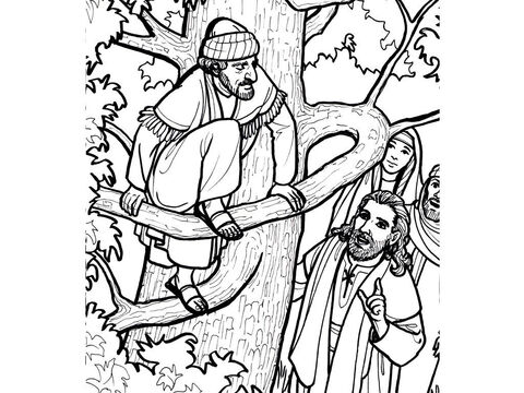 Jesus stops to talk to Zacchaeus, the tax collector, who has climbed into a sycamore tree. <br/>Luke 19:1-10 – Slide 12
