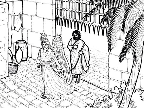 An angel leads Peter out of Prison. Acts 12:1-18 – Slide 8