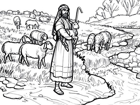 David tends his father’s sheep. – Slide 5
