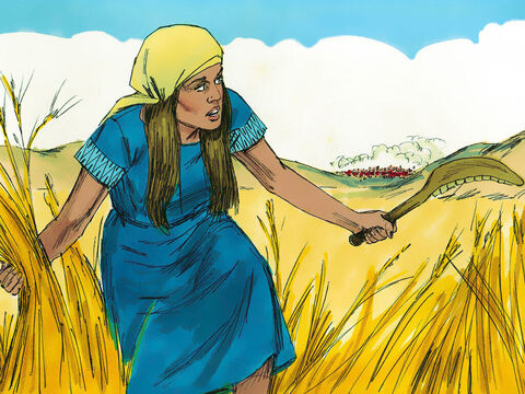 Whenever the Israelites were ready for harvest, marauders from Midian, Amalek, and the people of the east would attack Israel and destroy their crops. – Slide 2