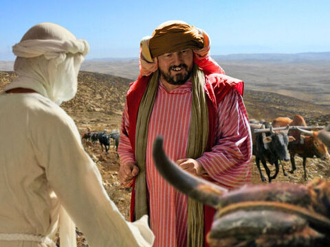 Luke 14 : 19 Another invited guest has just bought 5 yoke of oxen... – Slide 6