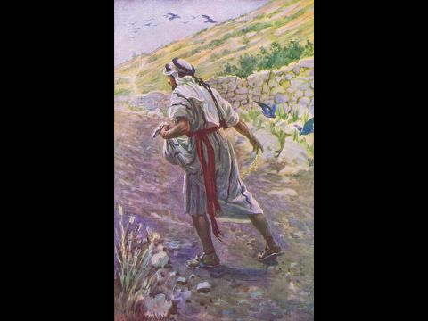 The Parable of the Sower. <br/>Harold Copping (1863 -1932). – Slide 13