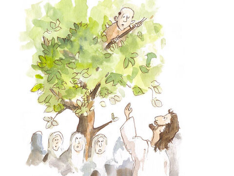When Jesus passed under the tree, He suddenly stopped, looked up and saw Zacchaeus. What would Jesus say to this dishonest man that many hated? ‘Zacchaeus, you come down,’ Jesus said.  ‘I am going to your house today.’ – Slide 15