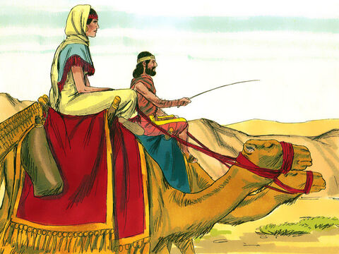 Rebekah’s brother and her mother wanted her to stay for ten days but the servant insisted they left right away. So her family blessed her and Rebecca and her attendants travelled south to Canaan. Isaac was in a field when he saw the camels arriving. Rebecca covered her face with a veil. – Slide 14