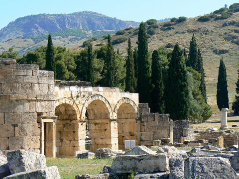 Cypress trees behind Domitian’s entrance at Heirapolis in Turkey. <br/>Italian or evergreen cypress (Cupressus sempervirens). <br/>This striking tree, so common around the Mediterranean, is not mentioned by name in the Bible but is a likely candidate from which the wood of the Cross was made. The columnar form with its cigar shaped appearance makes it instantly recognisable. It has a long history or association with graveyards, cemeteries and special places, but the reason why it may have been the wood of the cross is that it was a common tree with a straight trunk. Other candidates would be Aleppo pine or Cyprus pine. <br/>Uncertainty about the wood is that there is so little archaeological evidence for crucifixion, though there are numerous references to this awful means of execution in classical literature. Wood does not survive for long in ground contact so we can’t expect to find old crosses. The one bit of archaeology that does shed some light was the discovery of the bones of a crucified man with a nail still present through the ankle bone. At the head end of the nail was a small plaque or ‘washer’ made from olive wood. Was this to prevent the victim from freeing his foot or, more likely, to staunch the flow of blood to prolong death and inflict further torture? <br/>Cypress wood may possibly have been used for Noah’s Ark as the term ‘gopher wood’ has implications of resinous i.e. a conifer, pitch for caulking etc. – Slide 7