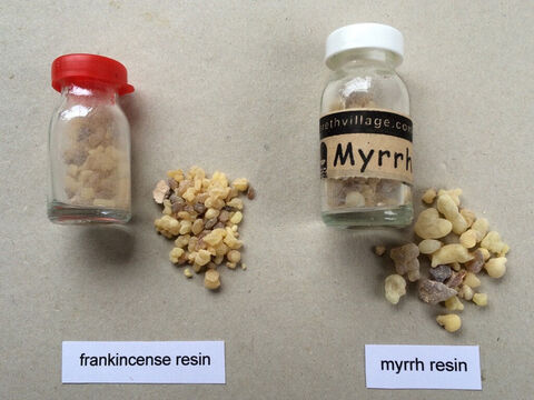 Frankincense and myrrh resins. <br/>Frankincense (Boswellia sacra) and Myrrh (Commiphora myrrha). <br/>As two of the precious and costly gifts brought by the Magi to the infant Jesus, they symbolise His priesthood - His offering to God - (frankincense) and His messiahship (myrrh) implied in Psalm 45:8. And of course myrrh was offered to Christ on the Cross (Mk 15:23) and used in His burial (Jn. 19:39). – Slide 12