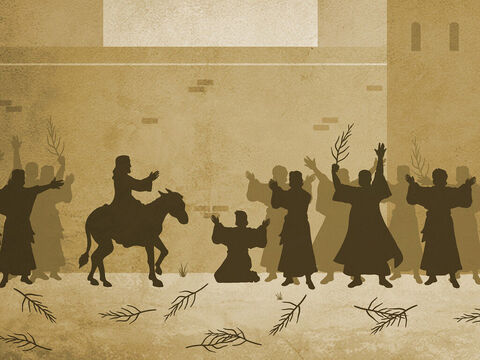 Jesus rides into Jerusalem. <br/>Matthew 21:1-11, Mark 11:1-11, Luke 19:28-44, John 12:12-17 – Slide 5
