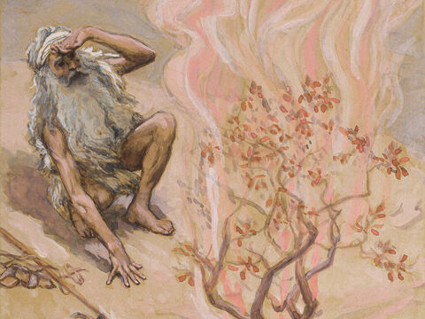 Moses Adores God in the Burning Bush. <br/>Cropped image. <br/>James Tissot (1836-1902) – The Jewish Museum, New York. – Slide 16