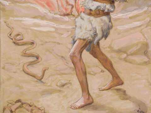 Moses' Rod is Turned Into a Serpent. <br/>Cropped image. <br/>James Tissot (1836-1902) – The Jewish Museum, New York. – Slide 18