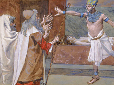 Pharaoh and His Dead Son. <br/>Cropped image. <br/>James Tissot (1836-1902) – The Jewish Museum, New York. – Slide 26