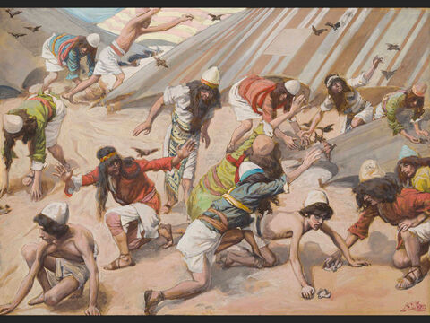 Quails are Sent to the Israelites. <br/>Full image. <br/>James Tissot (1836-1902) – The Jewish Museum, New York. – Slide 1