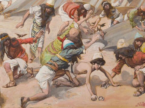 Quails are Sent to the Israelites.  <br/>Cropped image. <br/>James Tissot (1836-1902) – The Jewish Museum, New York. – Slide 2