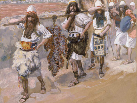 The Grapes of Canaan.  <br/>Cropped image. <br/>James Tissot (1836-1902) – The Jewish Museum, New York. – Slide 8
