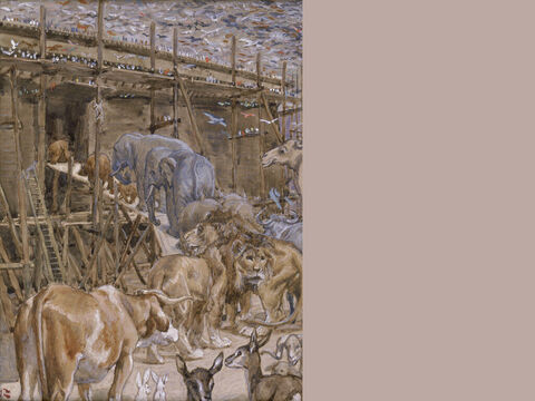 The animals enter the Ark. <br/>(Full Painting). <br/>James Tissot (1836-1902). <br/>The Jewish Museum, New York. – Slide 11