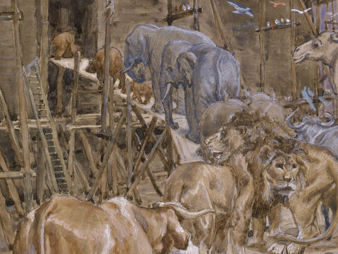 The animals enter the Ark. <br/>(Cropped).<br/>James Tissot (1836-1902). <br/>The Jewish Museum, New York. – Slide 12