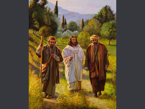 Travelling to Emmaus (1). <br/>He said to them: ‘How foolish you are, and how slow to believe all that the prophets have spoken!   <br/>Did not the Messiah have to suffer these things and then enter His glory?’  <br/>And beginning with Moses and all the Prophets, He explained to them what was said in all the Scriptures concerning Himself. <br/>Luke 24:25-27 <br/>Full text: Luke 24:13-35 – Slide 12
