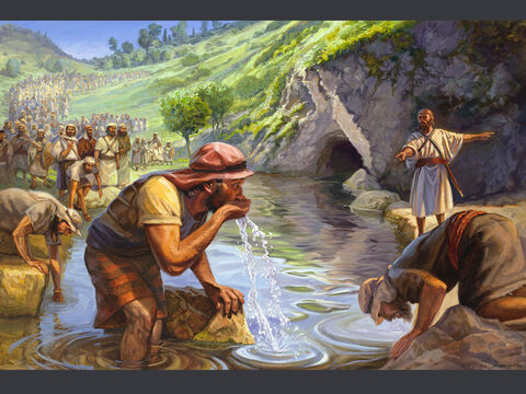 God selects Gideon’s army. <br/>So he brought the people down to the water. And the Lord said to Gideon, ‘Every one who laps the water with his tongue, as a dog laps, you shall set by himself. Likewise, every one who kneels down to drink.’ <br/>Judges 7:5 <br/>Full text: Judges 6:1–7:8 – Slide 1
