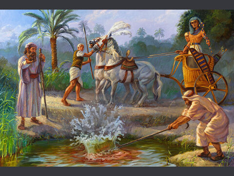 The first plague: water changes to blood. <br/>Moses and Aaron did just as the LORD had commanded. He raised his staff in the presence of Pharaoh and his officials and struck the water of the Nile, and all the water was changed into blood. <br/>Exodus 7:20 <br/>Full text: Exodus 7:14-23 – Slide 3