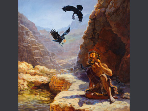 Elijah fed by ravens. <br/>The ravens brought him bread and meat in the morning and bread and meat in the evening, and he drank from the brook. <br/>1 Kings 17:6 <br/>Full text: 1 Kings 17:2-6 – Slide 6