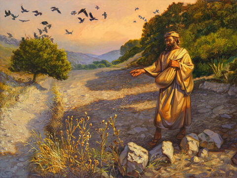 The parable of the sower. <br/>Then He told them many things in parables, saying: ‘A farmer went out to sow his seed.’As he was scattering the seed, some fell along the path, and the birds came and ate it up. Some fell on rocky places, where it did not have much soil. It sprang up quickly, because the soil was shallow. But when the sun came up, the plants were scorched, and they withered because they had no root.  Other seed fell among thorns, which grew up and choked the plants. Still other seed fell on good soil, where it produced a crop—a hundred, sixty or thirty times what was sown. He who has ears, let him hear’ <br/>Matthew 13:3-9 <br/>Full text: Matthew 13:3-23 – Slide 1