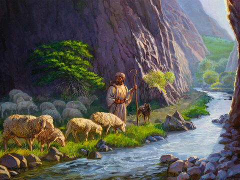 Through the valley. <br/>Even though I walk through the valley of the shadow of death, I will fear no evil, for you are with me; your rod and your staff, they comfort me. <br/>Psalm 23:4 <br/>Full text: Psalm 23:1-6 – Slide 2