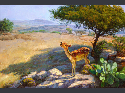 The panting deer. <br/>As the deer pants for streams of water, so my soul pants for you, my God. My soul thirsts for God, for the living God. <br/>Psalm 42:2-3 – Slide 3