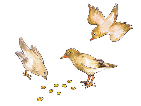 Some seeds landed on the path. In an instant the birds swooped down and gobbled them up. Not one had a chance to grow. – Slide 4