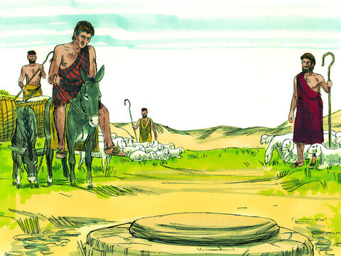 As Jacob came close to Harran he saw a well covered by a large stone and three flocks of sheep grazing nearby. – Slide 2