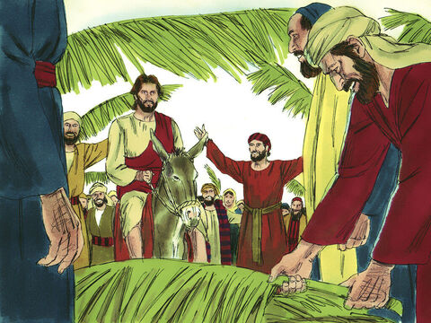 Many people spread their cloaks or palm branches on the ground for Jesus to ride over while others waved palm leaves. – Slide 7