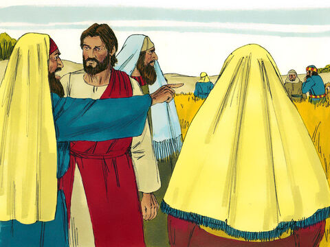 When the Pharisees saw this, they said to Jesus, ‘Look! Your disciples are breaking the law by working on the Sabbath.’ They were accusing the disciples of harvesting the grain by rubbing it in their hands. – Slide 2