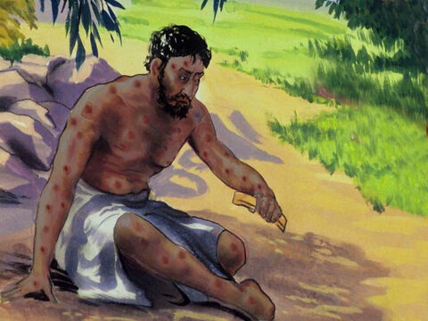 In great distress, Job cut his hair, and took some broken pottery to scratch his sores. – Slide 24