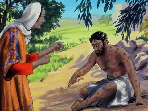 Job’s wife said to him, ‘Curse God and die.’ – Slide 25