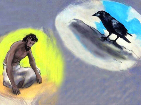 ‘Who gives food to the raven, when its young cry out to God? – Slide 52
