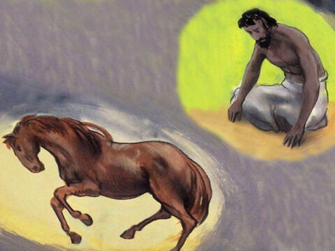 ‘Have you given the horse its strength? Do you clothe its neck with a flowing mane? – Slide 53