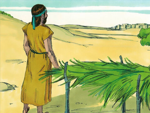 Jonah went out to a hill overlooking the city and build a shelter. He watched and waited to see if God would destroy the city. That night a vine grew up and it sheltered Jonah from the hot sun the next day. But the next day God sent a worm to destroy the vine and it withered and died. – Slide 17