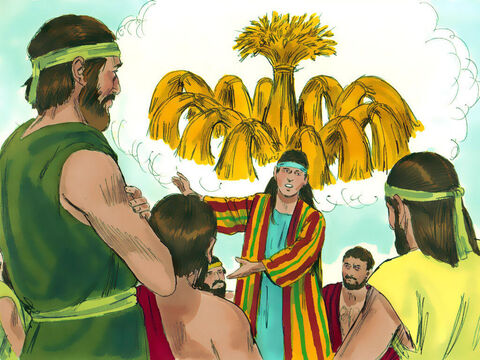 Joseph then had a strange dream that he shared with his brothers. ‘We were binding sheaves of grain out in the field,’ explained Joseph, ‘when suddenly my sheaf rose and stood upright, while your sheaves gathered around mine and bowed down to it.’ – Slide 3