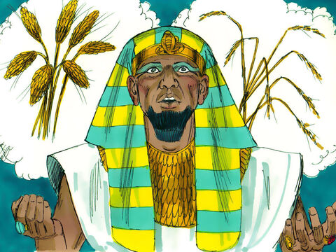 ‘Then I fell asleep again, and I had another dream,’ Pharaoh continued. ‘I saw seven heads of grain, full and beautiful, growing on a single stalk. Then seven more heads of grain appeared, but these were blighted, shriveled, and withered by the east wind. Then the shriveled heads swallowed the seven healthy heads. I told these dreams to the magicians, but no one could tell me what they meant.’ – Slide 6