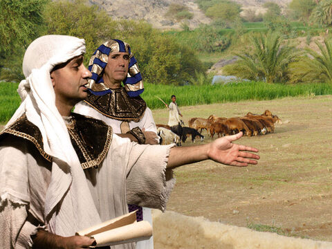 Potiphar decided to promote Joseph to be in charge of his household servants and those working outside in the fields for him. Joseph was very good at taking charge and ran everything very well. – Slide 3