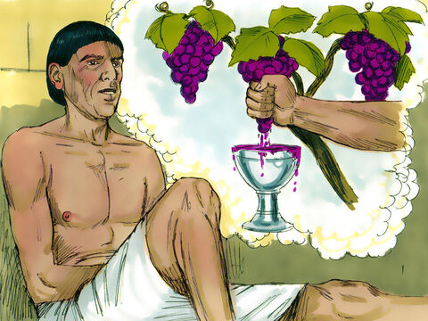 The cupbearer went first. ‘In my dream I saw a vine with three branches. As soon as it budded, it blossomed, and its clusters ripened into grapes. Pharaoh’s cup was in my hand. I took the grapes, squeezed them into Pharaoh’s cup and gave it to him.’ – Slide 3
