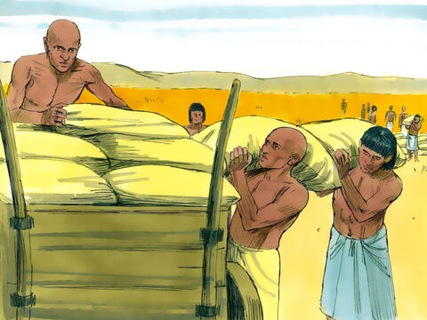 He gathered all the crops grown in Egypt and stored the grain from the surrounding fields in the cities. – Slide 2