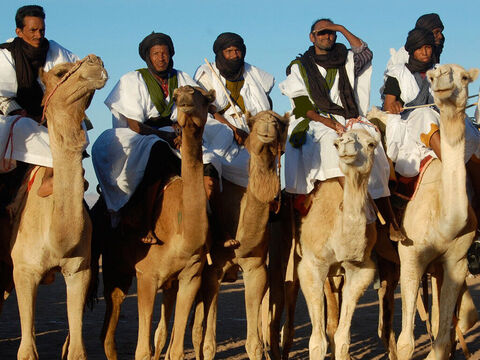Genesis 37 v 26-28 As the brothers are eating they see some Ishmaelite traders coming from Gilead. Their camels are loaded with spices, balm and myrrh that they are taking down to Egypt. Reuben is not with his brothers at this time. – Slide 12