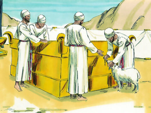 One tribe however, the Levites, were not to be given land as they were priests of the Lord. They consulted with Eleazar the High priest, Joshua and leaders of the other tribes. saying, ‘The Lord instructed Moses to give cities to the Levites for our homes, and pasture land for our cattle.’ – Slide 6