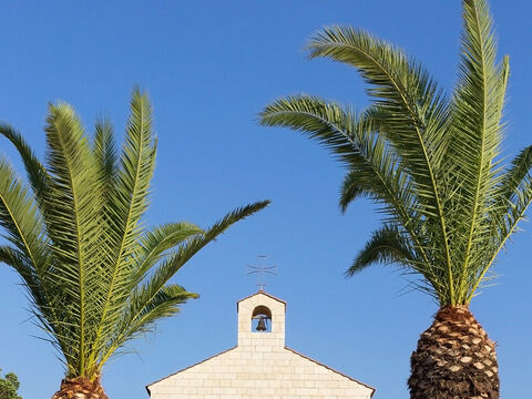 Palms by an ancient church. – Slide 21