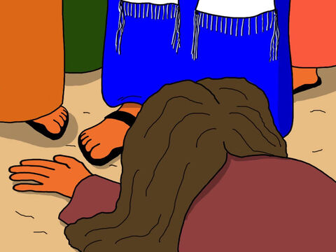 The woman cried and fell at Jesus' feet. ’It was I who touched you!’ she confessed. – Slide 16
