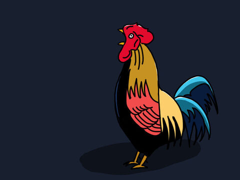 Just then the first rooster was heard crowing in Jerusalem that early morning. – Slide 36