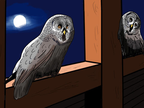 When night came, everyone slept well except for the animals that loved to be awake at night, such as the night owls. – Slide 26