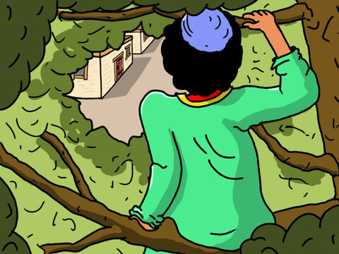 Zacchaeus now had a very good view as he sat up in the tree. Oh how he longed for Jesus to come by so he could see Him. – Slide 24